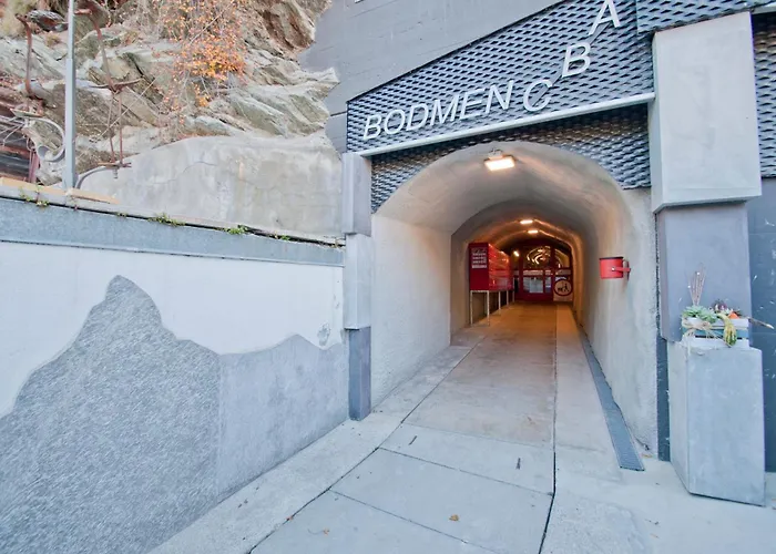 Haus Bodmen C, Anemone 公寓